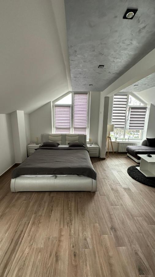 Seti Gorgeous Apartments With Jacuzzi Belgrade Extérieur photo