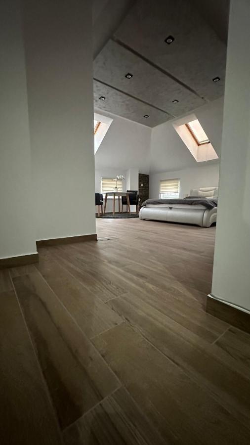 Seti Gorgeous Apartments With Jacuzzi Belgrade Extérieur photo