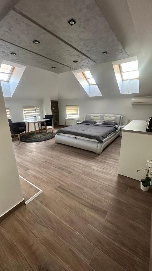 Seti Gorgeous Apartments With Jacuzzi Belgrade Extérieur photo